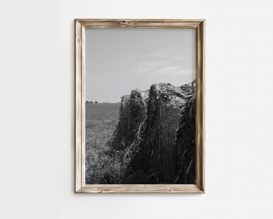 "Hay Bales in Summertime" Photo Print