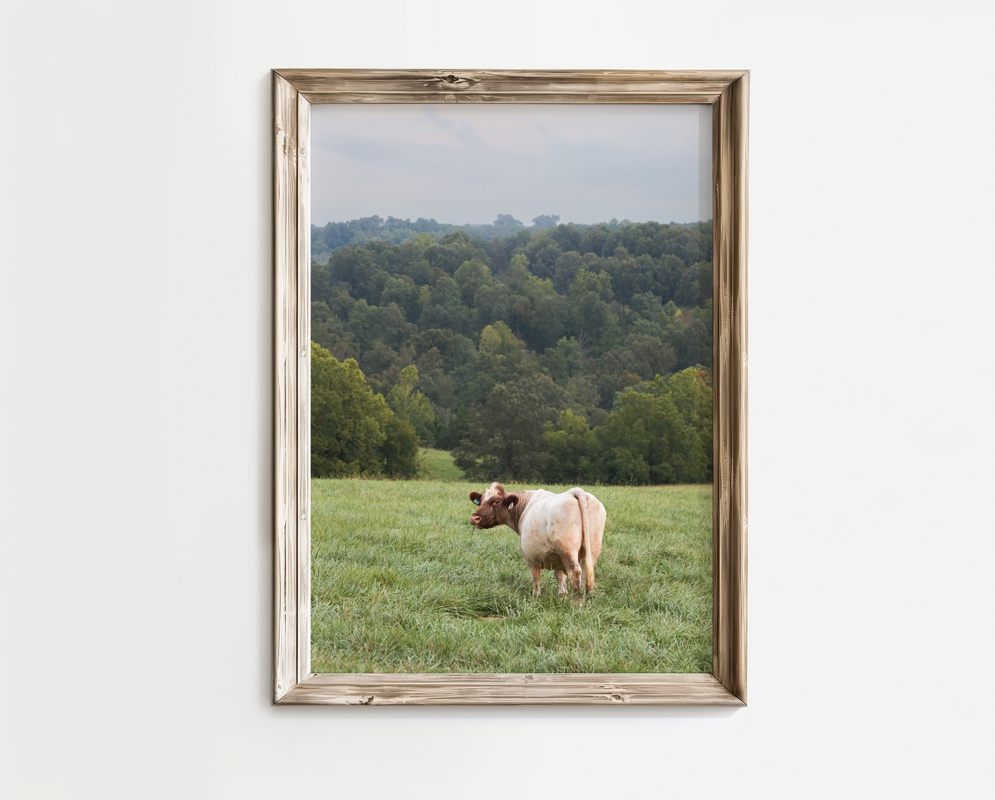 "Hillside Views" Photo Print