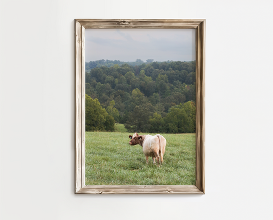 "Hillside Views" Photo Print